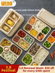 NUOXIAN | Eco-friendly Degradable Lunch Box Four Cells