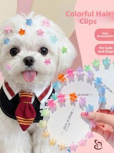 Cat and Dog Grooming Hair Clips Pet Hair Tidying Clasp with Star and Flower Designs