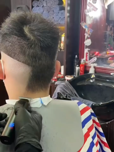 Alat Cukur Rambut Kemei KM-1113 – T-Blade Low Noise Digital Display