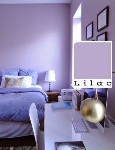 [ Anti luntur mengapur dan ngelupas ] cat tembok 25 kg murah berkualitas interior dan eksterior