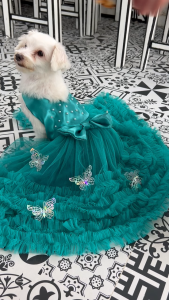 Color of the year Dog gown/ Pet gown/ Dog Dress / Cat Gown/ Dog mermaid gown/ Pet dress