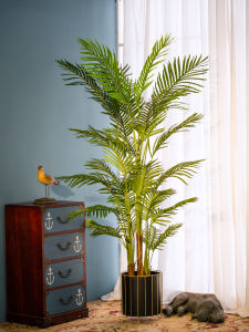 Large Areca Palm Anemone Fernleaf Hedge Bamboo Imitative Tree Green Plant Fake Trees Indoor Living Room Floor Plant Decoration
