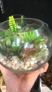 สวนโหลแก้ว เทอราเรียม ต้นไม้ปลอมมินิมอล ต้นไม้ปลอมตกแต่งโต๊ะ