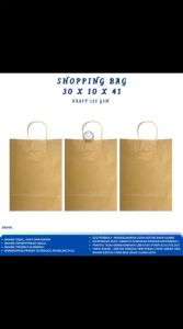 Paper Bag Large Shopping Bag Large Kantong Kertas Kraft (Isi 1 Pcs-SGB49L)