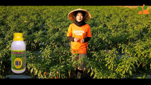 Palmy Green Extra Vitamin B1 Pupuk Untuk Tanaman Hias 250 ml