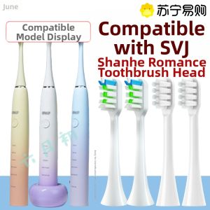 Early June Compatible SVJ Electric Toothbrush Head Mountain River Romance Series 6005/Heyyou Universal Replacement Head 2585