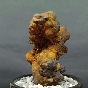 King of Kings Leklai 王中王力泥 Leklai Goethite 100% Natural Leklai Malaysia
