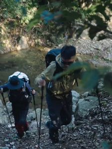 Naturehike 5-Section Trekking Pole Carbon Fiber Aluminum Alloy Folding Alpenstock Ultralight Walking Stick Hiking Climbing Stick