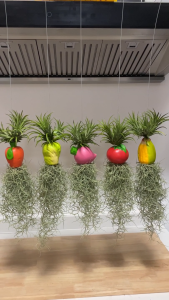 เคราฤาษีใส่ตุ็กตาเซรามิกรูปผักคละสี สำหรับตกแต่งสวน มอสสเปน ไม้ฟอกอากาศกรองฝุ่น ม่านบังแดด Ceramic Spanish Moss