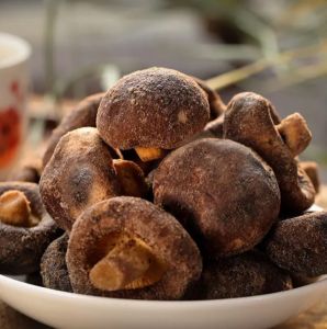 2026 现货Instant mushroom crisps non fried dehydrated vegetables mushroom crisps-Fast delivery