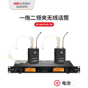 HiKVision Wireless Microphone Headset UHF Handheld One to Two Conference Special KTV Microphone with Battery Windscreen Power Supply