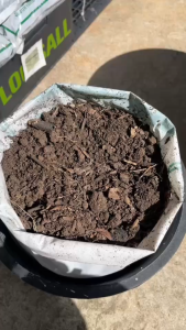 ดินปลูกดอกไม้ ขุยไผ่ ขนาด 4 กก ดินร่วนระบายน้ำได้ดี สำหรับปลูกดอกไม้และผักต่างๆ ดินมีแร่ธาตุและโปรงมากขึ้น ปลูกหน้าร้านงามๆ แบบในรูป