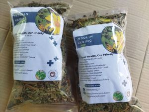 daun insulin atau kipahit 100gram