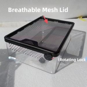 Portable Reptile Box with Built-In Lighting for Turtle Snail Crab Frog Spider Snake Insect Observation Anti-Escape Cage