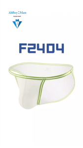 Mens Brief: Nylon Ice Silk Bikini Brief (F2404)