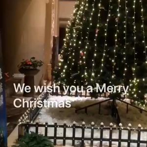 ไฟประดับ LED 100ดวง ยาว10m ไฟเส้น ไฟตกแต่ง 100LED ไฟแต่งสวน ไฟหิ่งห้อย ไฟนางฟ้า ไฟหยดน้ำ ไฟปีใหม่ ไฟคริสมาสต์