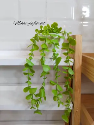 Daun juntai pot mini // daun ekaliptus // bunga hias