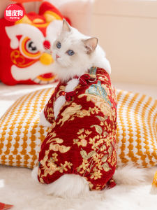 hipidog | Hair Loss Prevention Cat Clothing