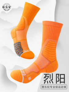 Professional Sport Socks Mens Towel Bottom Running Marathon Mid-Calf Badminton Special Basketball Hiking Outdoor Activities
