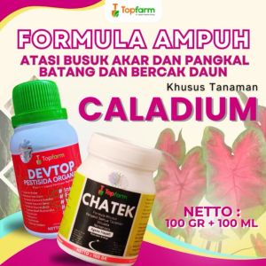 Pestisida Topfarm / Obat Hama Untuk Tanaman Bunga / Obat Hama Untuk Bunga Hias Keladi / Obat Hama Ulat Pada Bunga / Obat Hama Kutu Tanaman Bunga / Obat Hama Bunga Hias Caladium / Obat Semprot Hama Daun Bunga Caladium