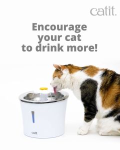 Hagen Catit 2.0 Drinking Flower Fountain LED with Stainless Steel 3L