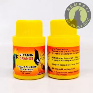 SEMPATI FREE GANTUNGAN BUAH SEMPATI Orange Capsul Aidy Wijaya Vitamin Burung Meningkatkan Nafsu Makan Kualitas Suara Kicauan Daya Tahan VTOCPDI