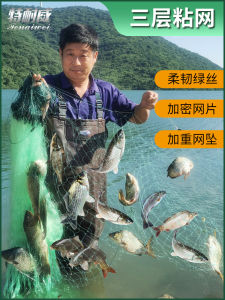 Dày Dặn Lưới Đánh Cá Gia Cố Trắng Sọc Lưới Bắt Cá Chép Catfish Nhập Khẩu Lụa Lưới Bồn Rửa Ba Lớp Dài 50 Mét