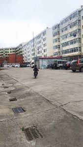 【🇲🇾Ready Stock】🔥49CC Motorbike Mini Dirt Bike 2-Stroke Racing car 49CC motorcycle mini kids with gasoline motorcross