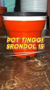 Pot Tinggi Srondol 15 Hitam - Pot Tinggi Usa Eiffel Effiel 18 20 25 Lusinan Pot Tinggi Tirus 15 18 20 30 35 40 50 Cm Paket murah isi 1 lusin pot bunga plastik lusinan pot tanaman Pot Bibit Besar Mini Kecil Pot Srondol 15