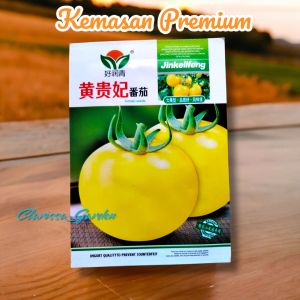 (KEMASAN PREMIUM) BIJI/BENIH TOMAT JUMBO KUNING ( isi -+250 Butir)