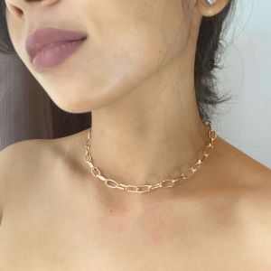 Rozza Chain Simple Necklace For Woman Casual Party