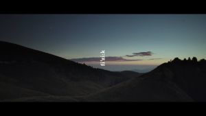 Fizik Tempo Decos Carbon WIDE Road Shoes: High-Performance Cycling Footwear