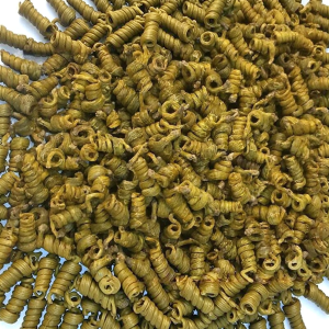 Genuine Five-year-old Huoshan Dendrobium Mi Fern Knot