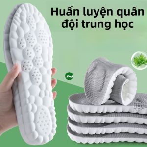 XIANZHAO | Đế Giày Hấp Thụ Mùi Hương Atractylodes Rhizome