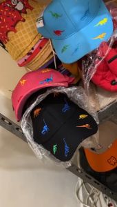 Topi Anak Motif Dino & Model Korea: Pilihan Topi Bayi Laki-Laki Import Murah