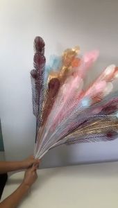 Cành Lông Công Đồng To Loại 1 Trang Trí Bình Tráp Oản Tài Lộc Cực Sang Trọng