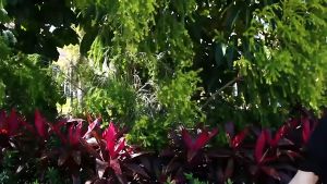 💦บับเบิ้ลโบว์ 🔫ใหม่ ปืนของเล่น ปืนฉีดน้ำรูปทรงธนูและลูกศร มัลติฟังก์ชั่เป่าฟองสบู่รูปทรงนางฟ้า ปืนเป่าฟองสบู่เด็ก water gun ปืนฉีดน้ำสามารถยิงได้ ปลอดภัย ใช้งานง่าย เหมาะสำหรับเด็กและกิจกรรมสันทนาการในสวนหรือชายหาด ปืนฉีดน้ำเด็ก ของเล่นปืนฉีดน้ํา