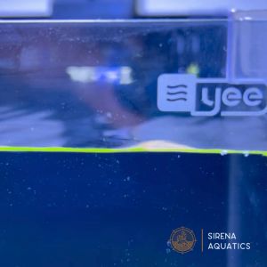 Yee All-in-One Desktop Aquarium: Stylish Nano Tank with LED Light & Back Filter for Fish Lovers