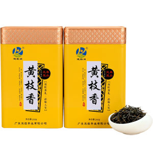 JianYunGe | Huang Zhi Xiang Fenghuang Dancong Oolong Tea 500g