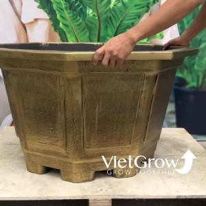 Chậu Nhựa Giả Đồng Bát Giác kích thước Miệng x Cao x Đáy: 95cm x 55cm x 63.5cm 239 Lít