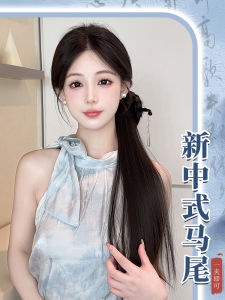 New Chinese Style Side Bun Hairpiece with Braids Ancient Hanfu Qipao Headwear Fake Tail Hairpin Increase Volume Change Style