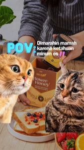 CNI Well 3 Flower Honey (Madu CNI) Original