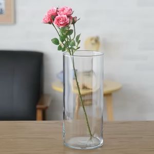 Binh Bông Lọ Hoa Thuỷ Tinh Ống Trụ Tròn D10cm x H25cm Trang Trí  Decor D1025