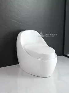 2IN1 Squat Toilet + Sitting Toilet With Stainless Steel Bidet Siphonic Strong Flush FREE Bidet
