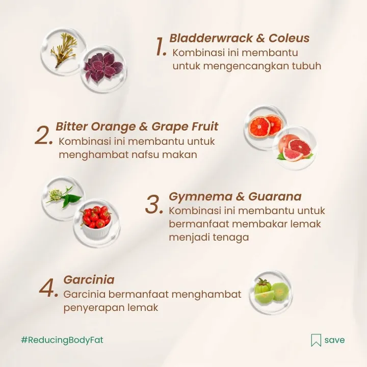 Thermolyte%20Plus%2030%20Kaplet%20-%20Suplemen%20Diet%20dan%20Penurun%20Lemak%20Tubuh%20-%20Image%204