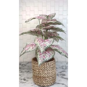 Pohon Hias Tanaman Artificial Daun Calladium Pink Semilatex Cover Eceng Gondok Hiasan Ruangan Aesthetic