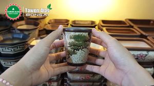 Pot Keramik Bonsai Bundar Tinggi Kecil