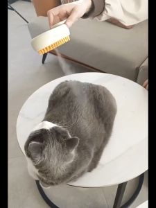 HATELI Cat & Dog Steam Brush: A Comprehensive Guide