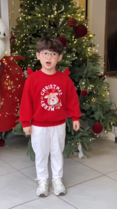 Áo Noel áo thun Giáng sinh dài tay phối sừng tuần lộc 3D bé trai bé gái 10 tới 26kg BERNIE H1025A45