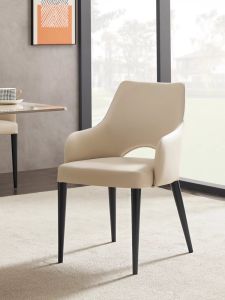TINGXU | Sleek Luxury Design Chair